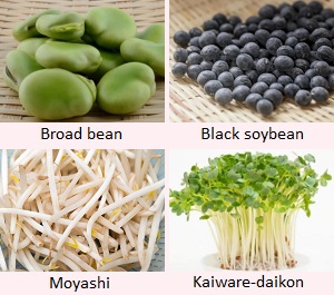 Soramame, Kuromame, Moyashi, Kaiware-daikon