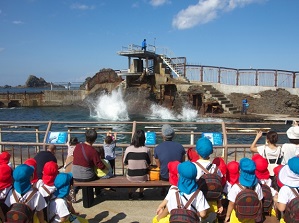 Show at Marine Park in Otaru Aquarium