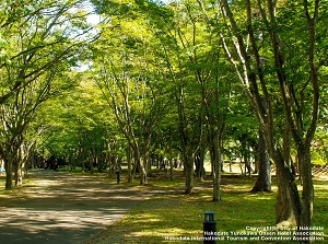 Miharashi Park