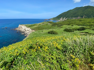 Coast around Kamuiwaki Onsen