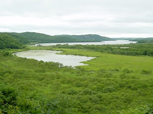 Kushiro Marsh