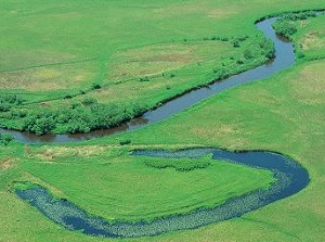 Kushiro Marsh