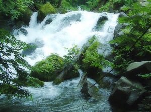 Samuzawa current in Oirase stream