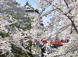 Hirosaki Castle in spring