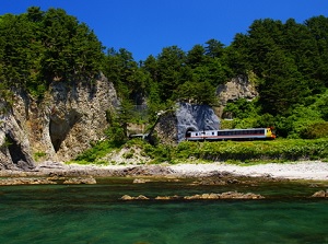 Train of JR Gono Line