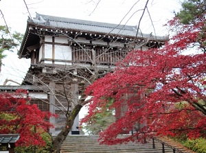 Rebuilt main gate in Senshu Park