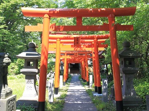 Torii gates in Senshu Park