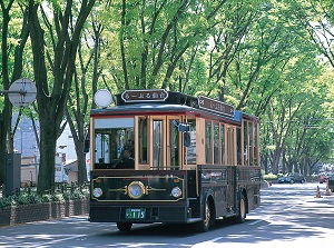 City loop bus LOOPLE