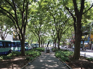 Jozenji Avenue