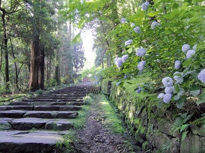 Approach to Zuihoden