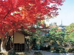 Rinnoji in autumn