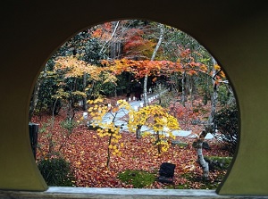 View from Main Hall