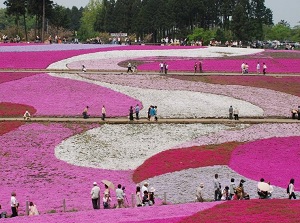 Hitsujiyama Park