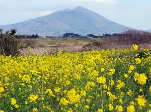 Mount Tsukuba