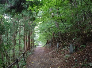 Walking trail around the waterfalls