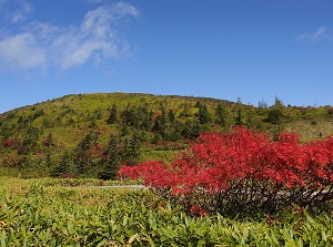 Mount Shirane