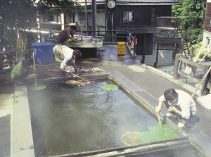 People boiling vegetables at Ogama