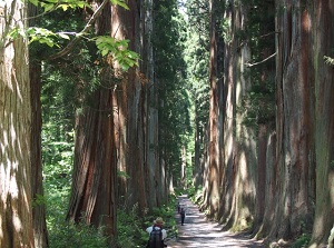 Approach to Togakushi Shrine