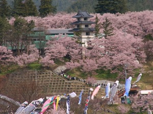 Takato Castle and carp streamers