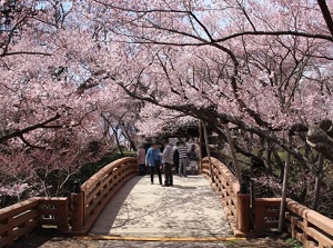 Ouunkyo bridge of Takato Castle