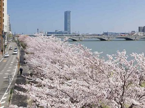 Bandai Bridge in spring