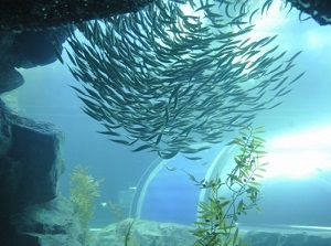 A water tank in Marinepia Nihonkai