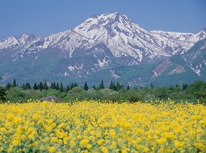 Mount Myoko