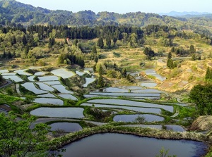 Hoshitoge Rice Terrace