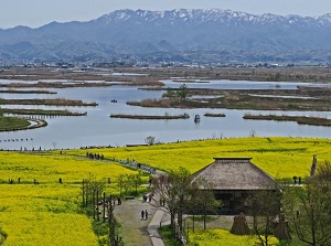 Fukushimagata in spring