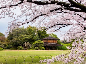 Korakuen in spring